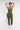 Vractive Wholesale Women's Seamless Tummy Control Activewear Jumpsuit wholesale lifestyle